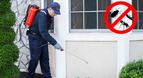 Sarıveliler Kene İlaçlama böcek ilaçlama ve haşere kontrolü — ilaclama-tr.com